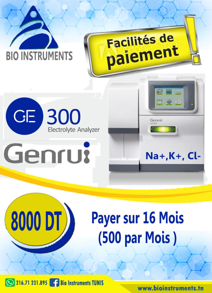 GE 300